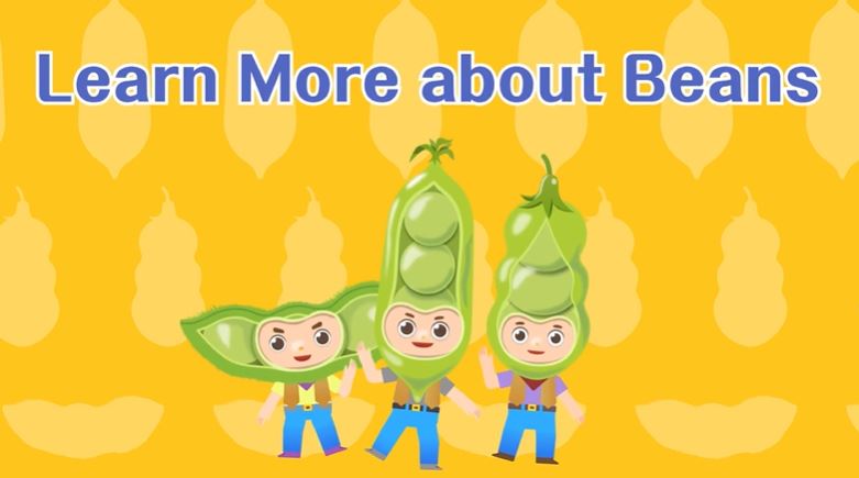 Animation Video on Vegetables (1) Learn More about Beans