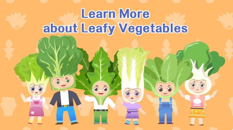 Animation Video on Vegetables (3) Learn More about Leafy Vegetables