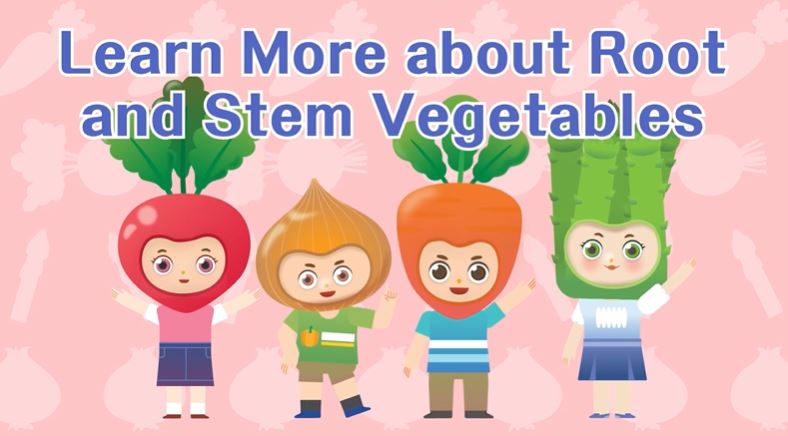 Animation Video on Vegetables (5) Learn More about Root and Stem Vegetables