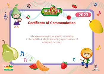 Primary and Special Schools E-Certificate