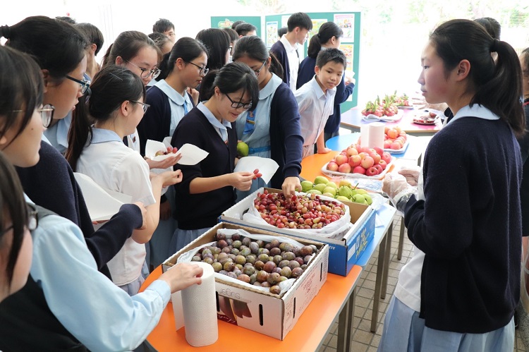 同学午饭后享用水果