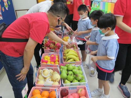 幼儿每人选三款水果带回家与家人分享