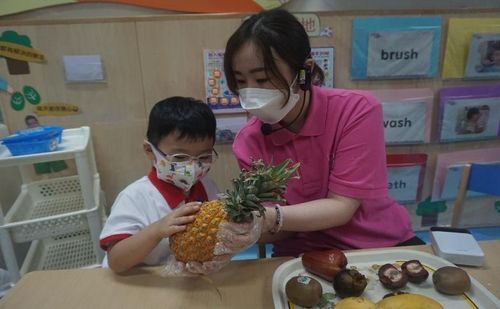 老師介紹完水果之後請小朋友觸摸和觀察水果的特點。