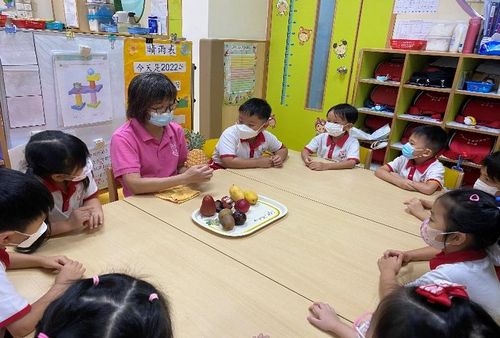 小朋友留心聆听老师介绍水果的种类和特征。