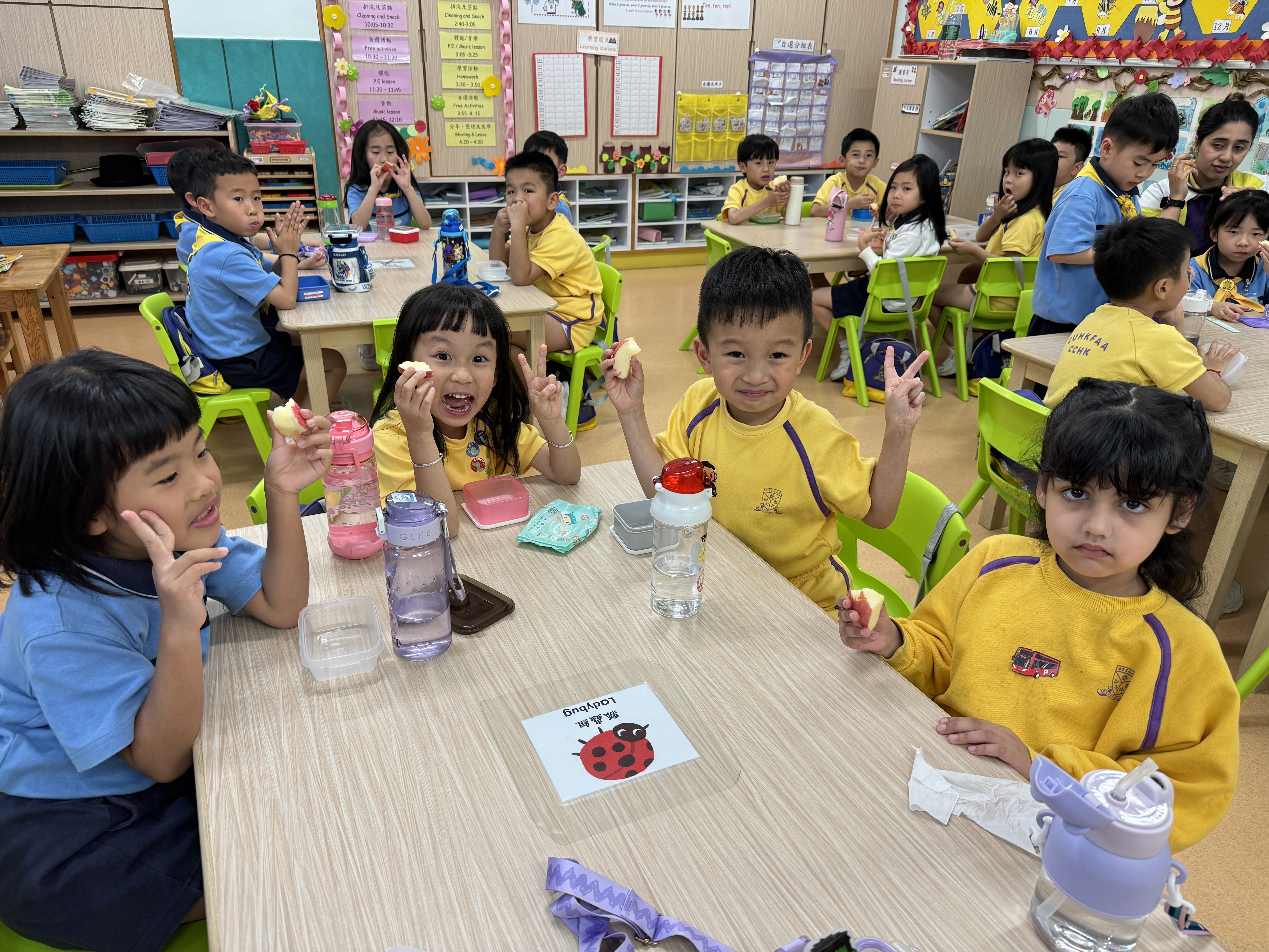 香港中文大學校友會聯會陳震夏幼稚園 香港中文大學校友會聯會陳震夏幼稚園