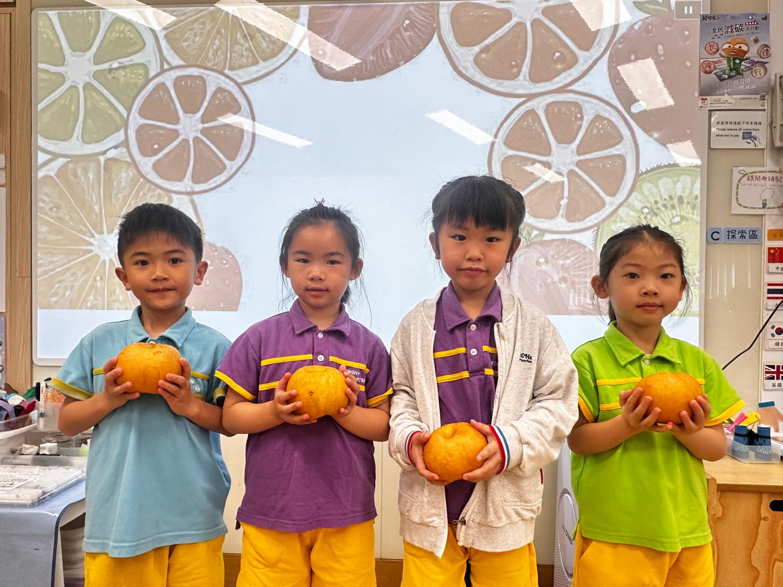 東華三院何藍瓊纓幼稚園 東華三院何藍瓊纓幼稚園