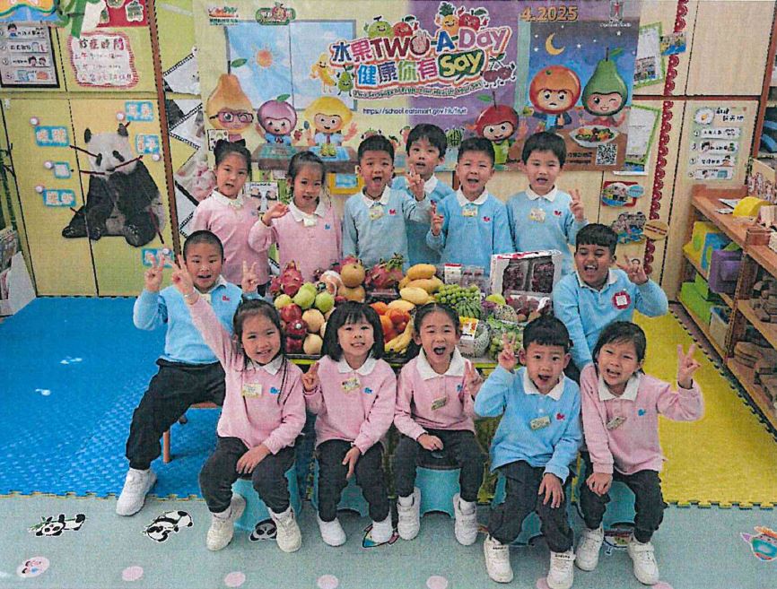 保良局陳黎惠蓮幼稚園暨幼兒園 保良局陳黎惠蓮幼稚園暨幼兒園