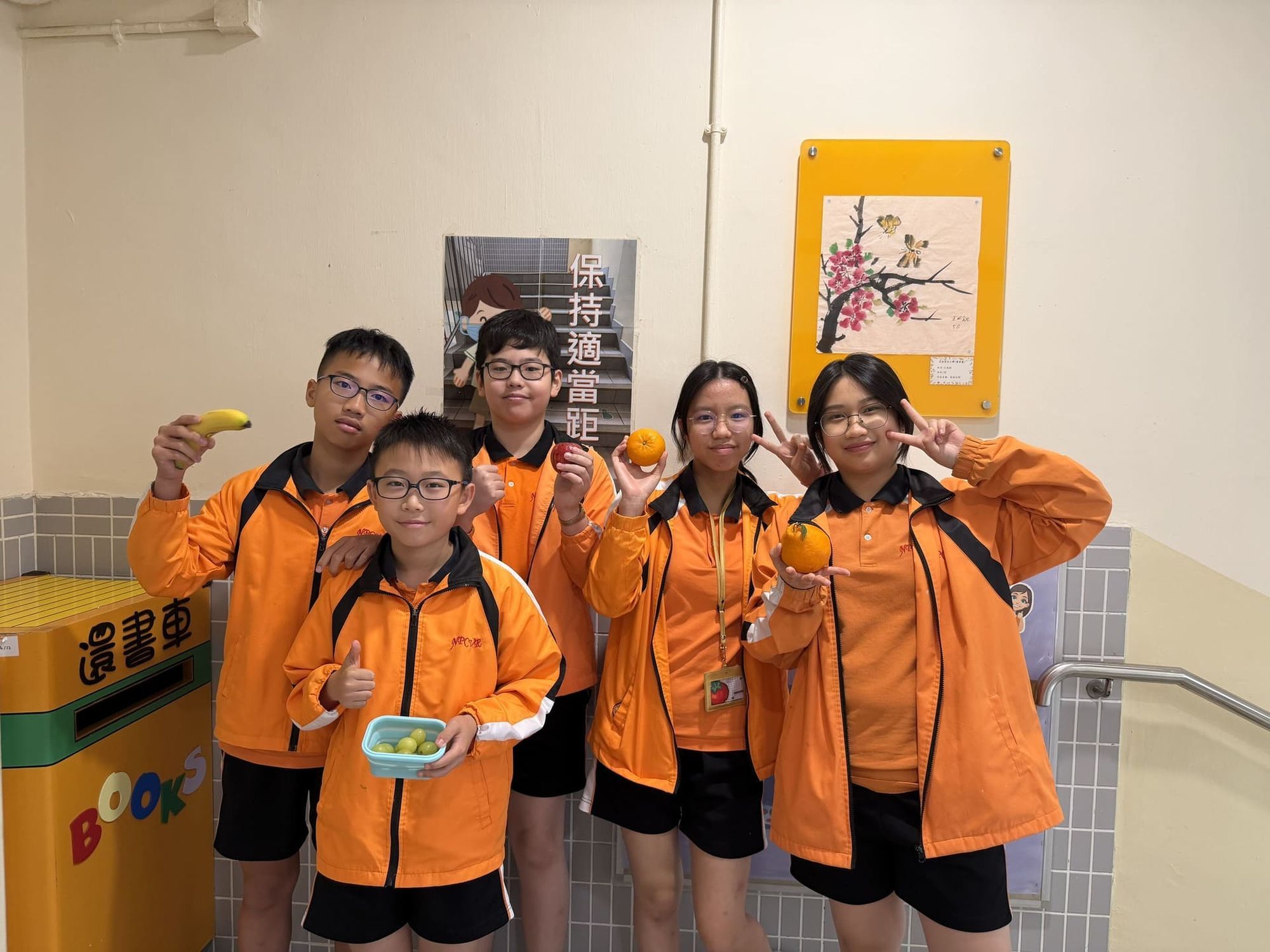 北角官立小學(雲景道) 北角官立小學(雲景道)