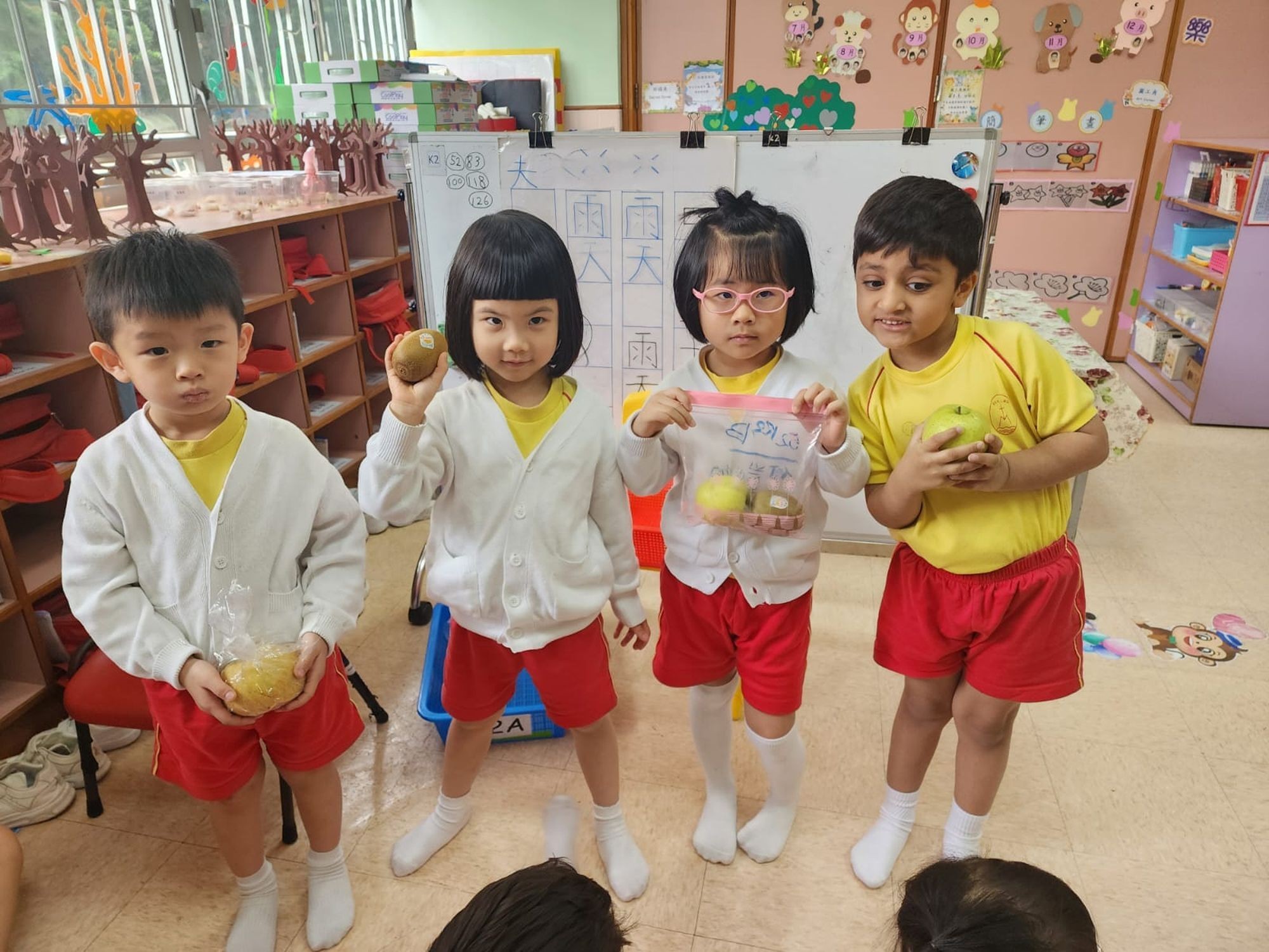 香港聖公會麥理浩夫人中心(石蔭)幼稚園幼兒園 香港聖公會麥理浩夫人中心(石蔭)幼稚園幼兒園