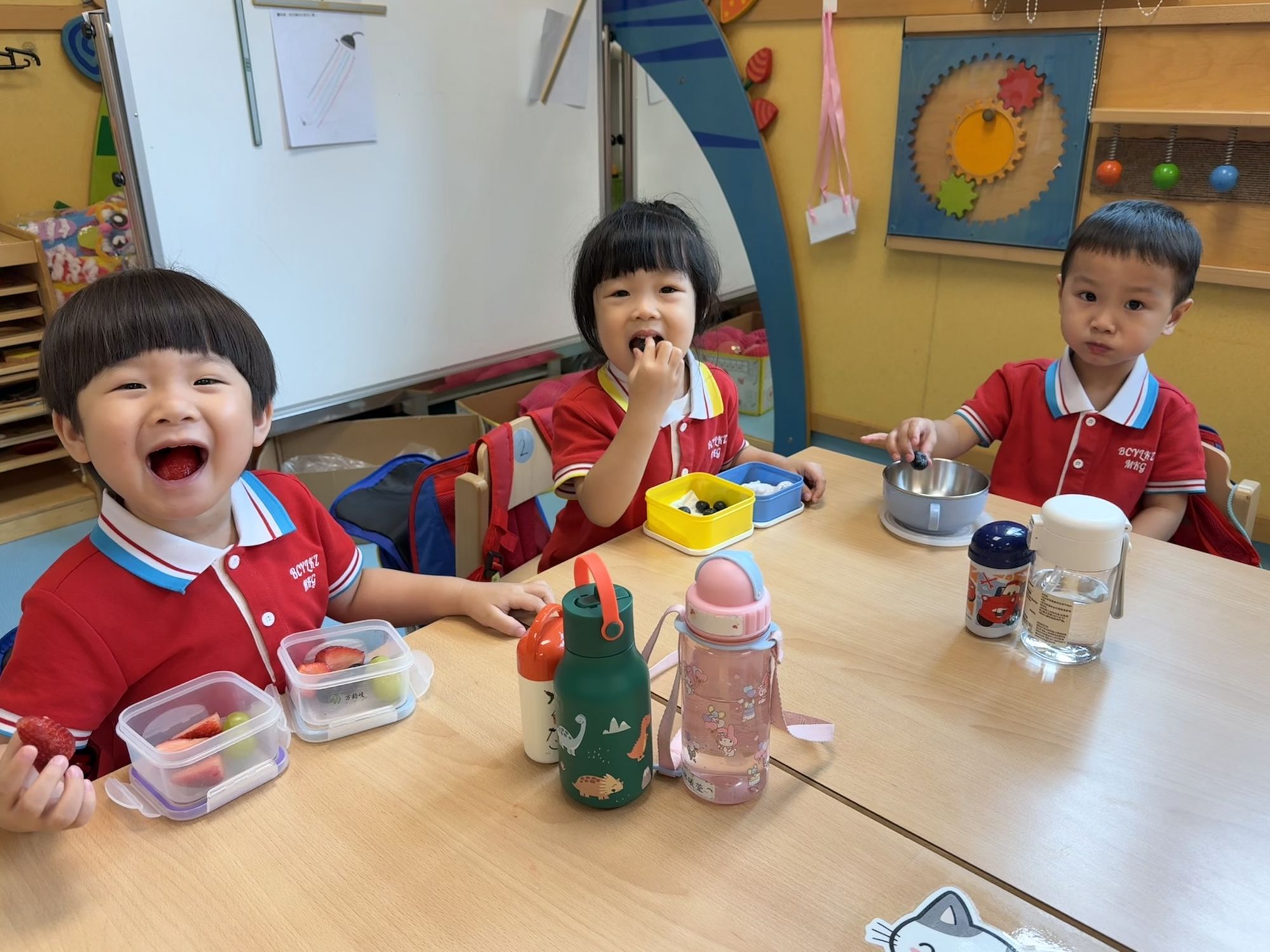 佛教真如李琴芝紀念幼稚園/幼兒中心 佛教真如李琴芝紀念幼稚園/幼兒中心