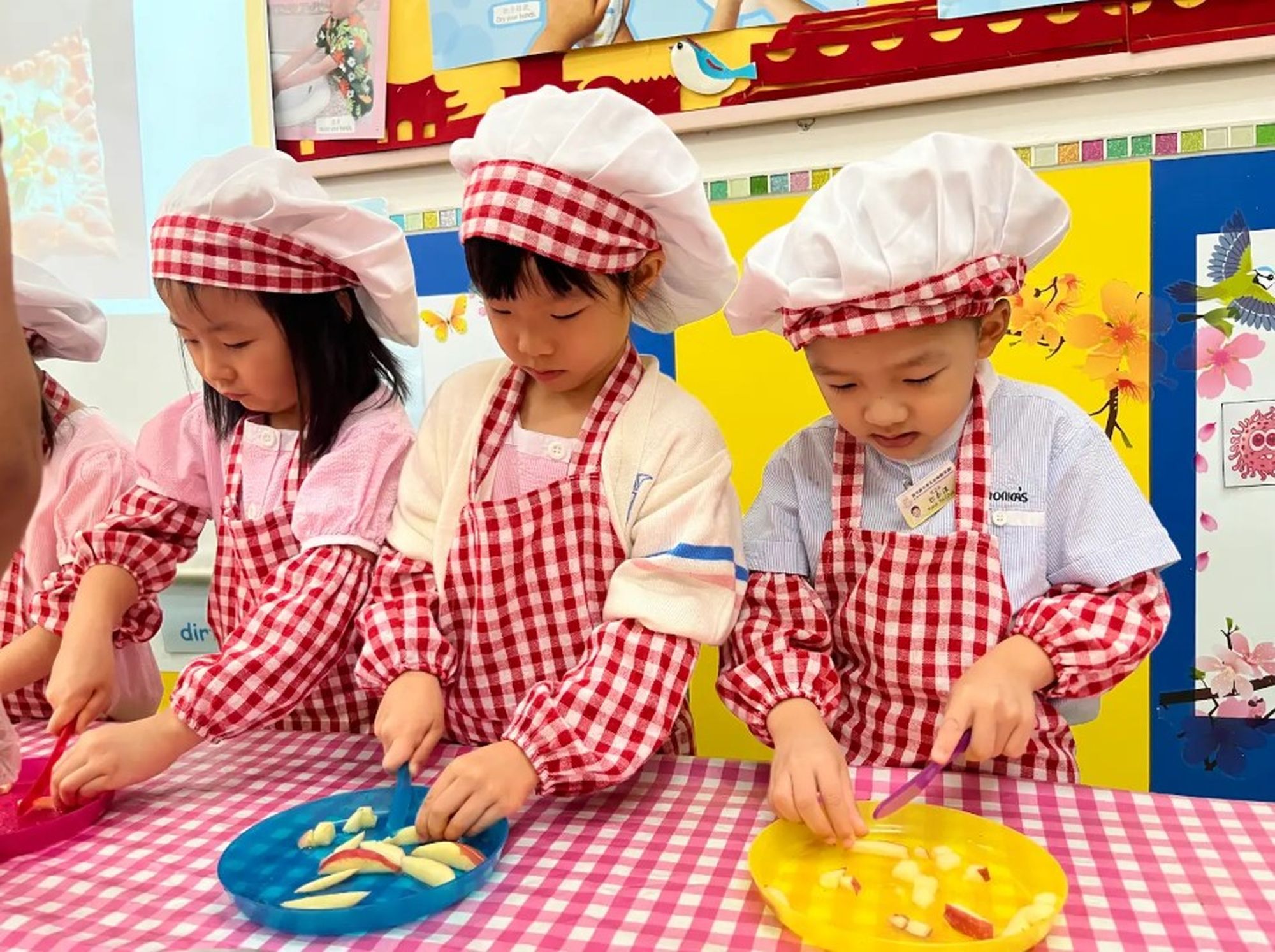 聖文嘉中英文幼稚園(荃灣) 聖文嘉中英文幼稚園(荃灣)