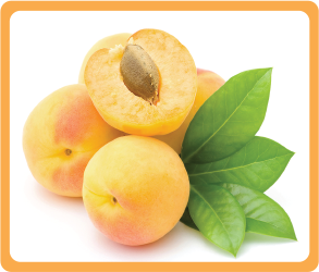 Apricot