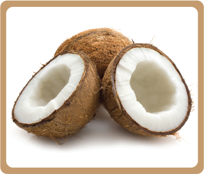 Coconut