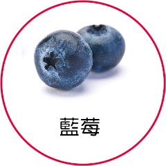 藍莓