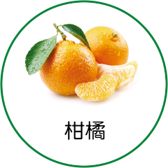 柑橘