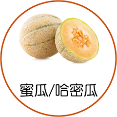蜜瓜/哈密瓜
