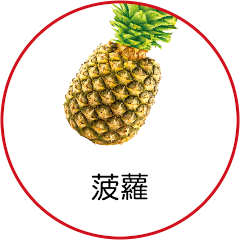 菠蘿