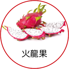 火龍果