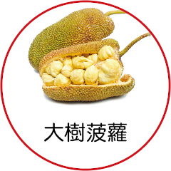 大樹菠蘿