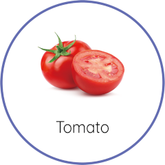 Tomato