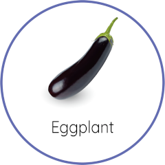 eggplant