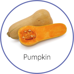 pumpkin