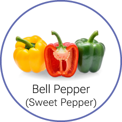 bell pepper