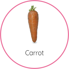 Carrot
