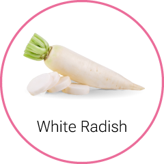 white Radish