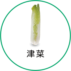 津菜（大白菜）