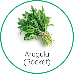 arugula (rocket)