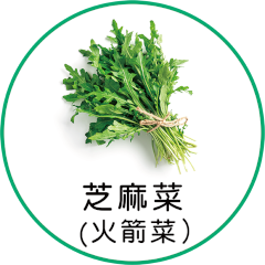 芝麻菜（火箭菜）
