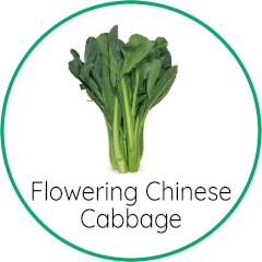 flowering Chinese cabbage (choy sum)