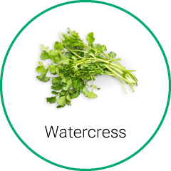 watercress