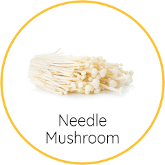 needle mushroom