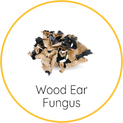 wood ear fungus