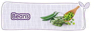 Beans