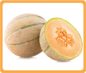 Honeydew melon/Hami melon