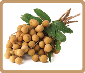 Longan