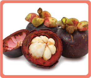 Mangosteen