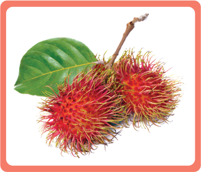 Rambutan