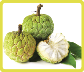 Sugar apple